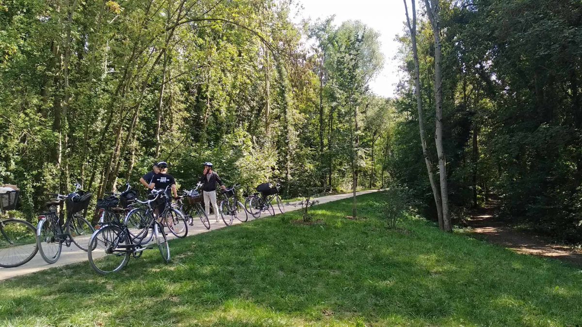 Chemin des roses sur la Tégéval