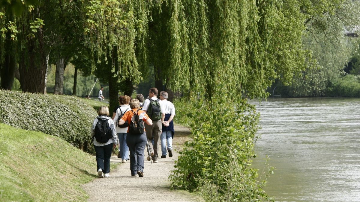 Balade commentée sur les bords de Marne ©CDT94