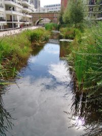 Réouverture de la Bièvre