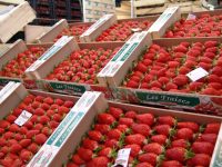 fruits fraises marche rungis