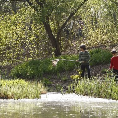 Que faire à La Queue-en-Brie ?