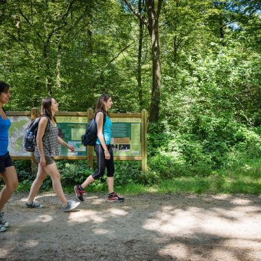 Que faire à Limeil-Brévannes ?