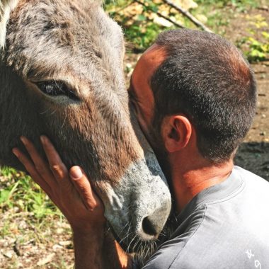 Fermes et parcs animaliers