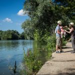 Top 5 des balades et promenades à faire en Bord de Marne