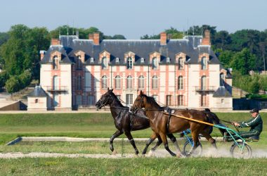 Domaine de Grosbois - centre hippique