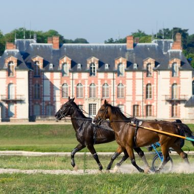 Domaine de Grosbois - centre hippique