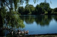 Patrimoine naturel au bord de la Seine