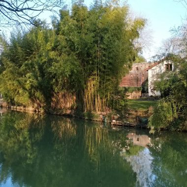 Chemin halage iles de la MArne