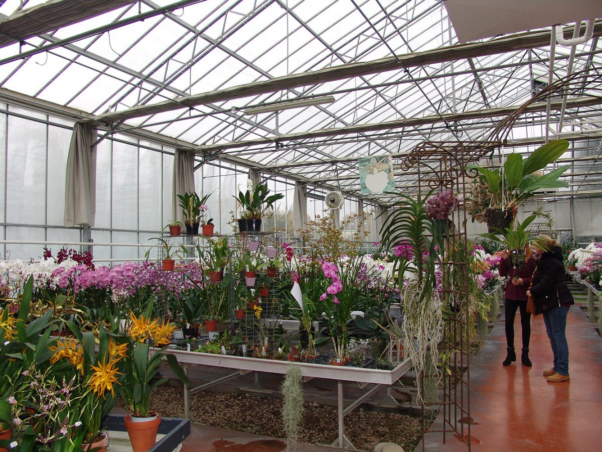 Serres d'orchidées Vacherot-Lecoufle