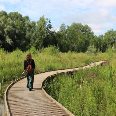 Cap sur la Marne La Grande Traversée