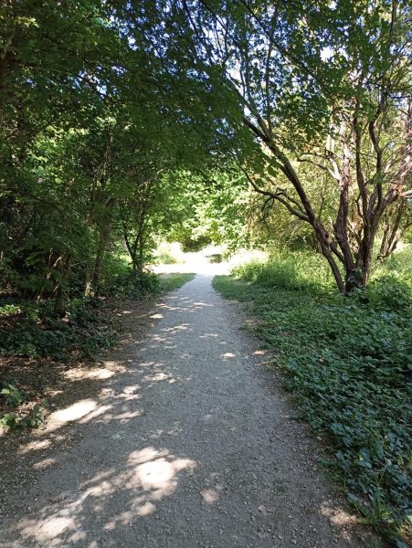 Grande marche bievre