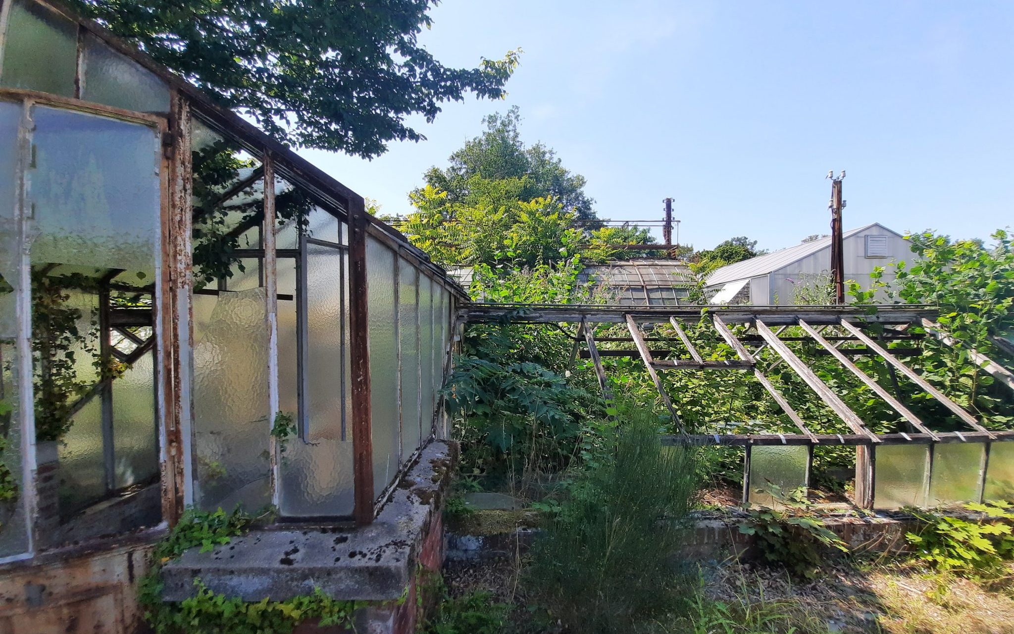Jardin d'Agronomie