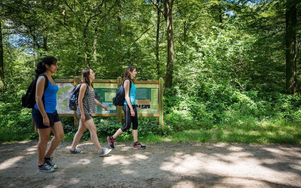 Trois personnes marchent sur un chemin de forêt