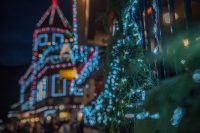 Le guide pour savoir que faire pendant les vacances de Noël