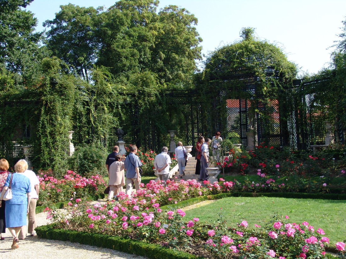 Visite guidée en groupe de la Roseraie du Val-de-Marne