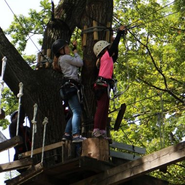 Enfants sur un parcours d'accrobranche