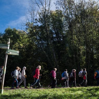 Les grandes marches organisées