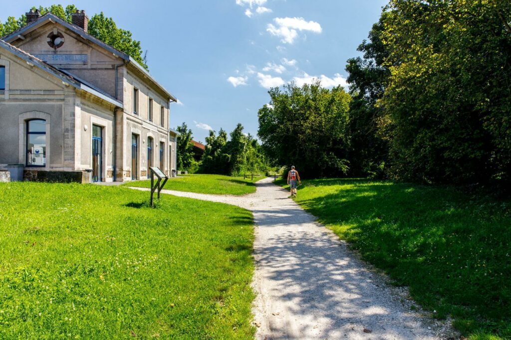 Chemin des roses à Santeny