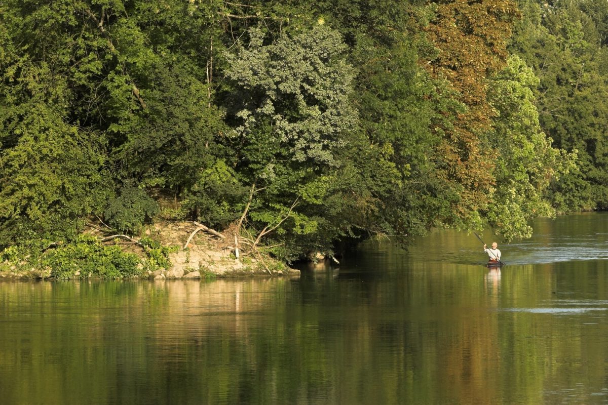 Un kayakiste navigue sur la Marne et passe à côté de l'Île de l'Abreuvoir de Champigny-sur-Marne