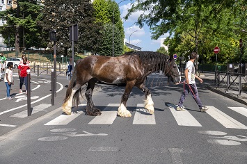 Rêve Parade Du 18 au 28 juil 2024