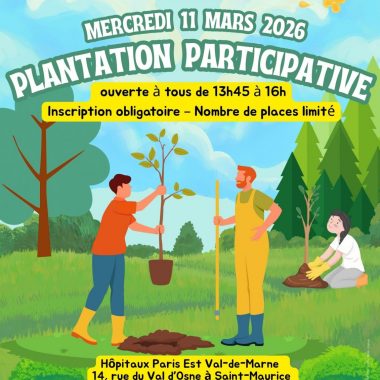 Plantation d&rsquo;arbres solidaire