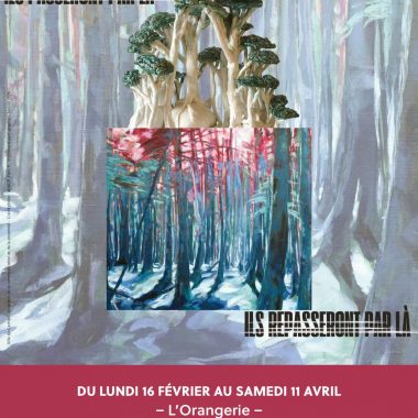 Exposition de Clothilde Lasserre « Ils passeront par là, ils repasseront pas là »