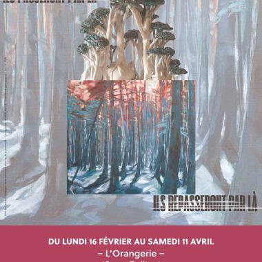 Exposition Clothilde Lasserre – À l’Orangerie de Cachan