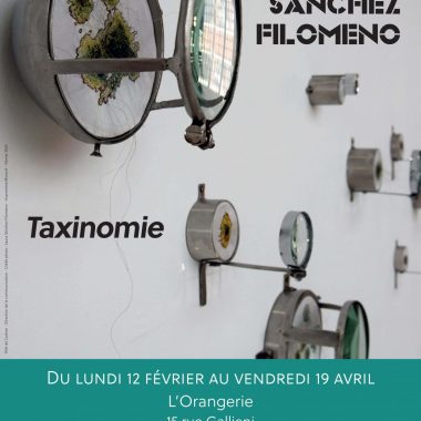 Exposition Taxinomie de Laura Sànchez Filomeno