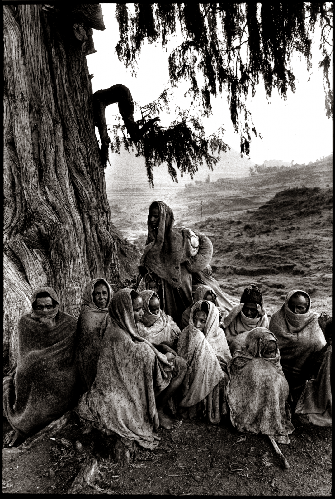 Exposition Alain Keler – Histoires de vie, au château de Vincennes