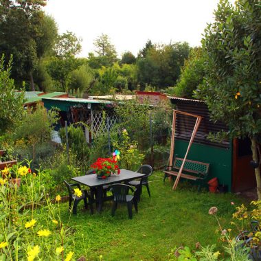 Rendez-vous aux Jardins – Les jardins familiaux des bords de Marne