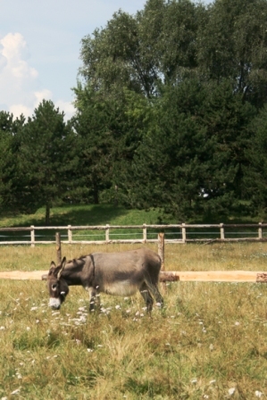 BALADE DANS LE HAUT-VAL-DE-MARNE