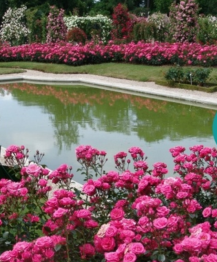 Rendez-vous aux Jardins