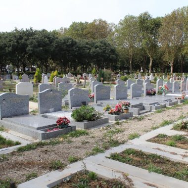 Sortie Nature LPO au Cimetière Parisien de Thiais