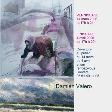 Exposition Frans Pleumeekers/Damien Valero