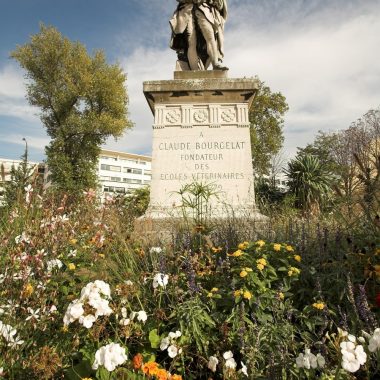 ECOLE NATIONALE VÉTÉRINAIRE D’ALFORT