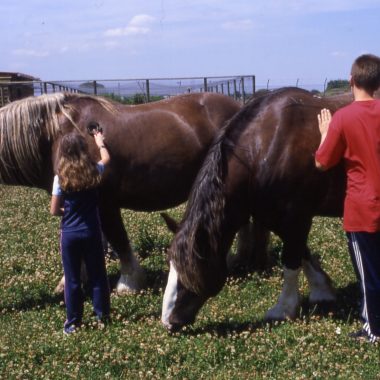 FERME DU PARC DES MEUNIERS