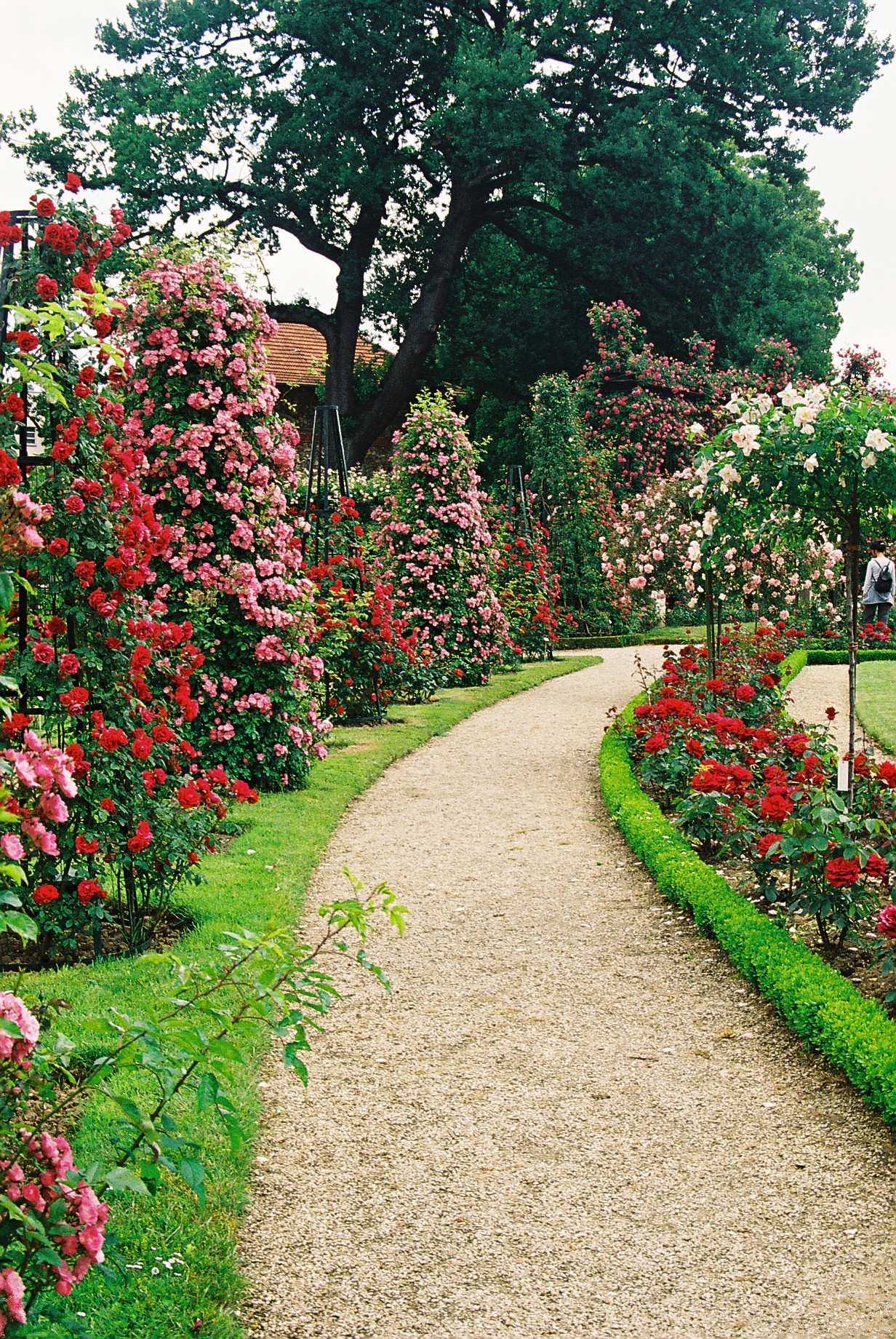 PARC DÉPARTEMENTAL DE LA ROSERAIE à L'HAY-LES-ROSES : Val-de-Marne Tourisme