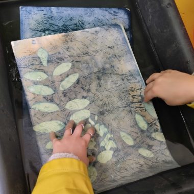 Atelier botanique et cyanotype