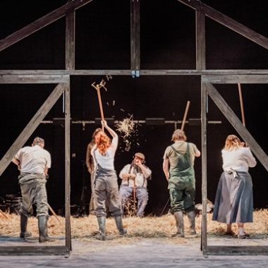 La Terre – Théâtre de Saint Maur