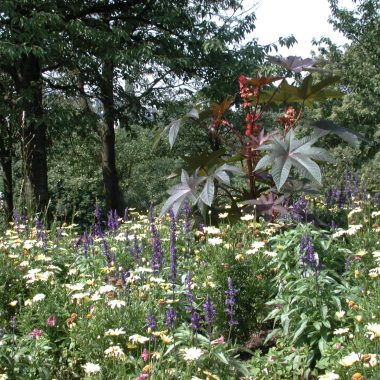 PARC DÉPARTEMENTAL DU MORBRAS