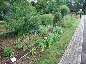 PARC DÉPARTEMENTAL DU RANCY