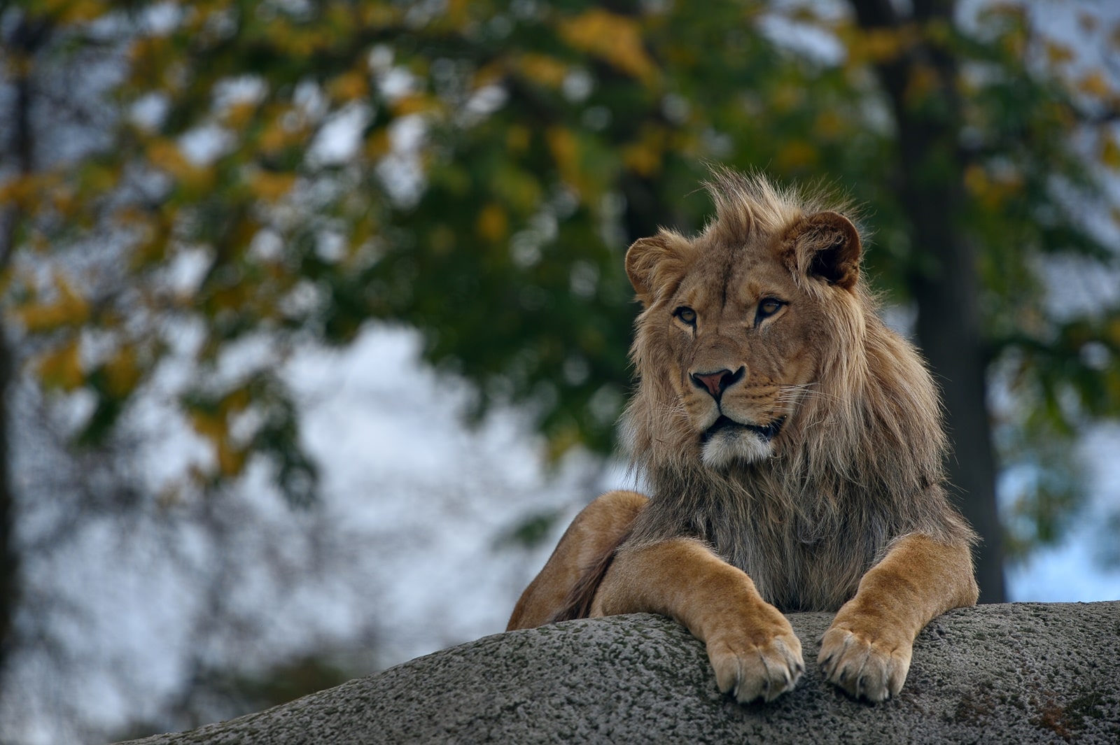 Où visiter un parc animalier à Paris ?