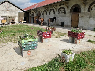Ateliers en Famille à la Ferme