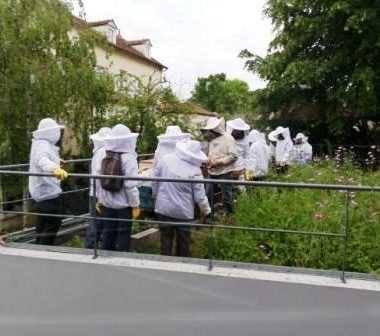 Exposition et visite du rucher – Fete de la Nature à Fresnes