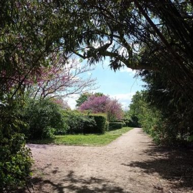 A la découverte de l’Île Saint-Germain