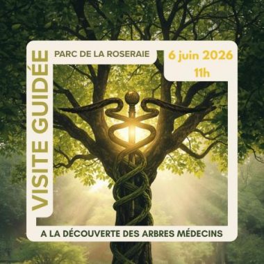 À la découverte des arbres médecins dans le Parc de la Roseraie à Châtenay-Malabry