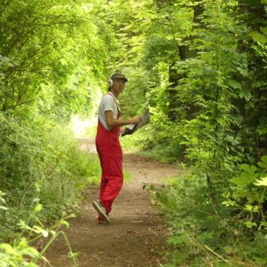 Ailleurs au Bois de Montjean – Promenade sonore à Fresnes