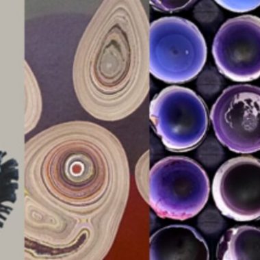 Exposition Art&rsquo;cologie – Galerie Julio Gonzalez