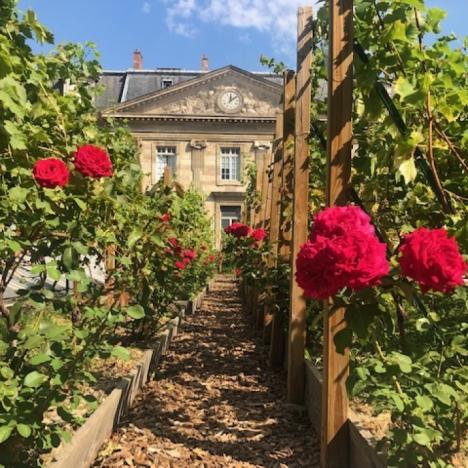 Atelier- La vie du vigneron au vignoble en toiture de Paris Le... Du 9 juin au 14 sept 2024