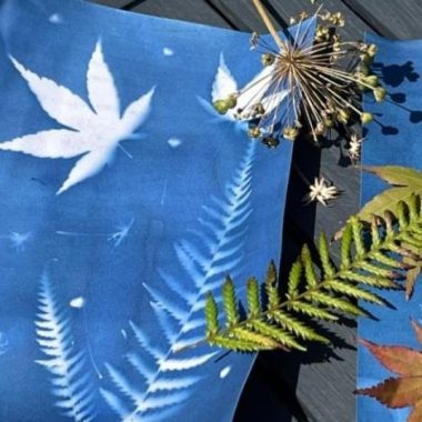 Atelier « Impressions botaniques en cyanotype »